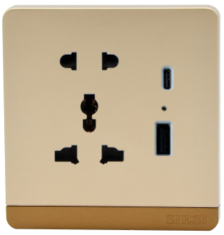 Ổ cắm 2 chấu, 3 chấu kết hợp USB - Type C (10A)