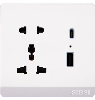 Ổ cắm 2 chấu, 3 chấu kết hợp USB - Type C (10A)