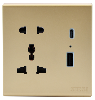 Ổ cắm 2 chấu, 3 chấu kết hợp USB - Type C- 10A